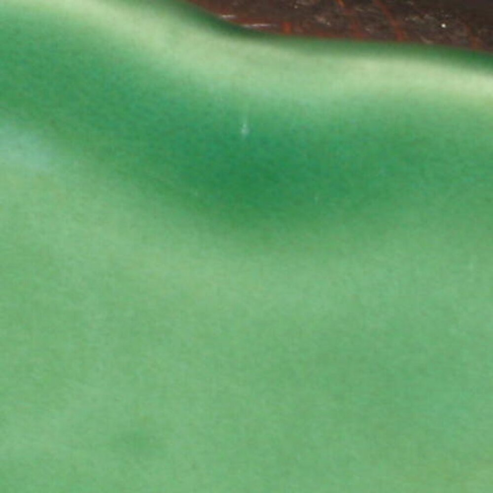 NWT Bordallo Pinheiro Outono Autumn Green 10” Dinner Plate Made in Portugal NEW - Picture 14 of 14